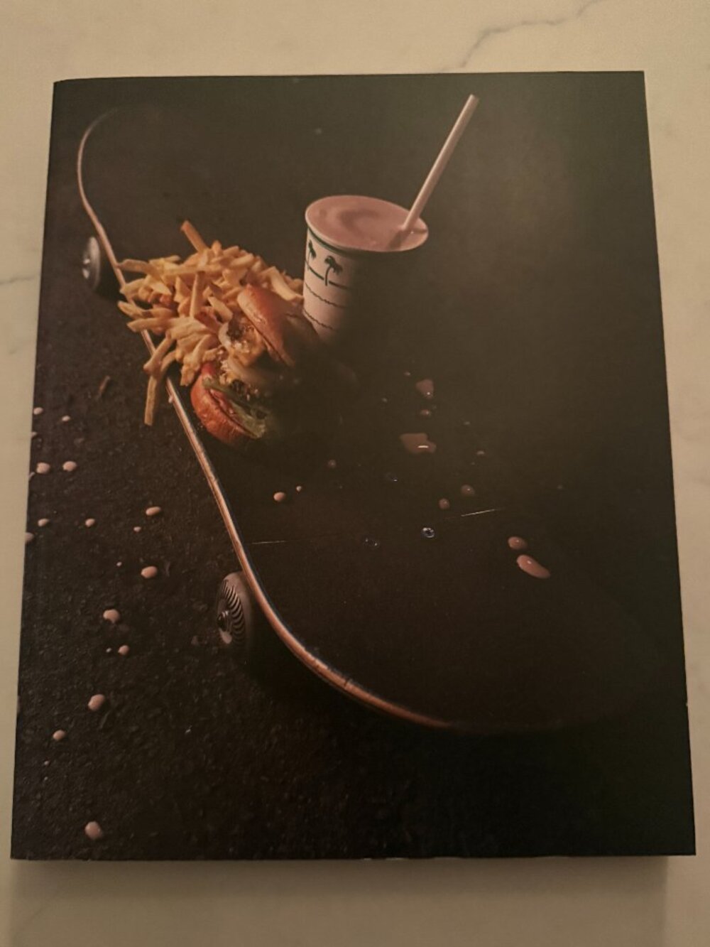 SkateBook #1 Steve Berra Edition